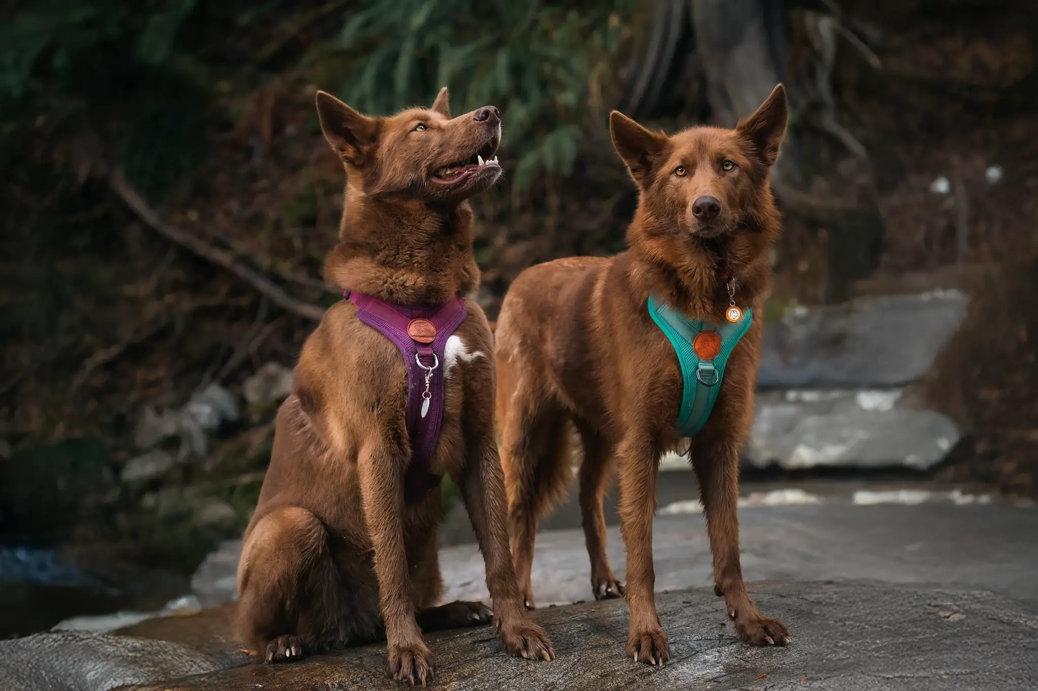 Welcome to Our Store